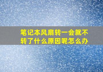 笔记本风扇转一会就不转了什么原因呢怎么办