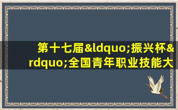 第十七届“振兴杯”全国青年职业技能大赛
