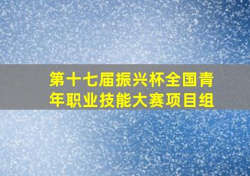 第十七届振兴杯全国青年职业技能大赛项目组