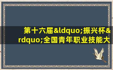 第十六届“振兴杯”全国青年职业技能大赛