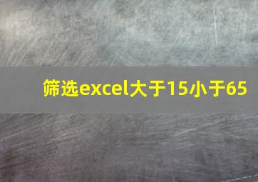 筛选excel大于15小于65