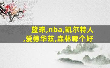 篮球,nba,凯尔特人,爱德华兹,森林哪个好