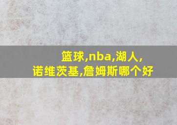 篮球,nba,湖人,诺维茨基,詹姆斯哪个好