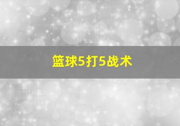 篮球5打5战术