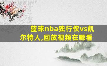 篮球nba独行侠vs凯尔特人,回放视频在哪看