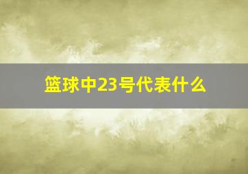 篮球中23号代表什么