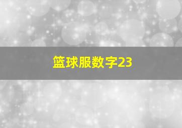 篮球服数字23