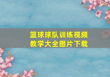 篮球球队训练视频教学大全图片下载