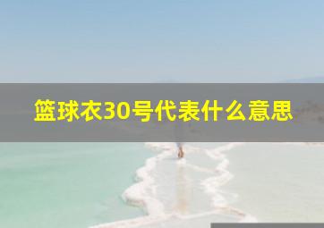 篮球衣30号代表什么意思