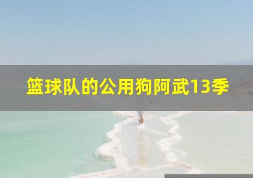 篮球队的公用狗阿武13季