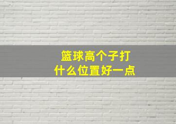 篮球高个子打什么位置好一点