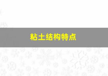 粘土结构特点