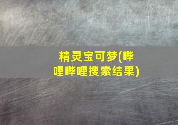 精灵宝可梦(哔哩哔哩搜索结果)