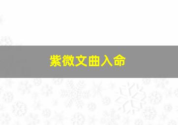 紫微文曲入命