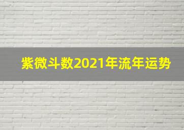 紫微斗数2021年流年运势