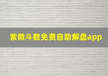 紫微斗数免费自助解盘app