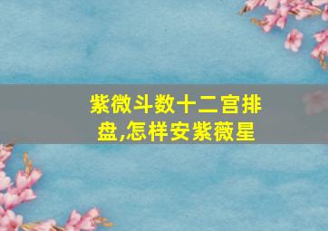 紫微斗数十二宫排盘,怎样安紫薇星