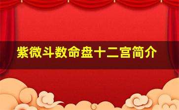 紫微斗数命盘十二宫简介