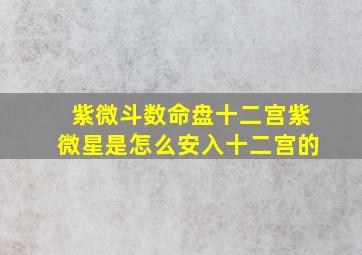 紫微斗数命盘十二宫紫微星是怎么安入十二宫的