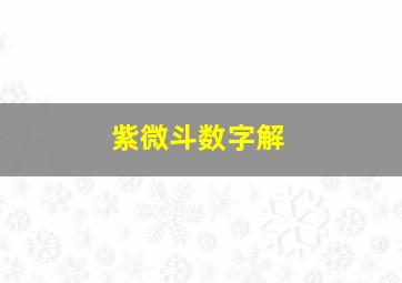 紫微斗数字解