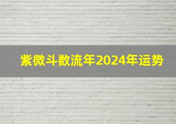 紫微斗数流年2024年运势