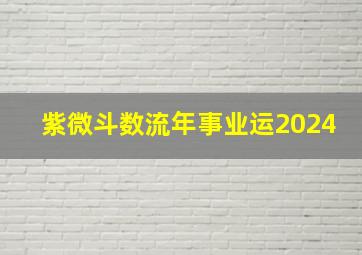 紫微斗数流年事业运2024