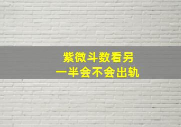 紫微斗数看另一半会不会出轨