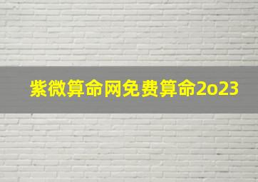 紫微算命网免费算命2o23