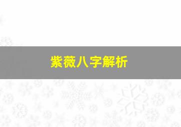 紫薇八字解析