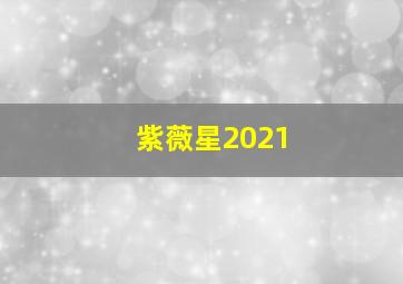 紫薇星2021