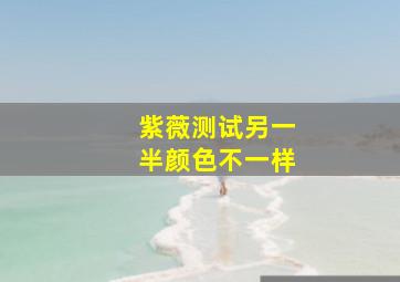 紫薇测试另一半颜色不一样