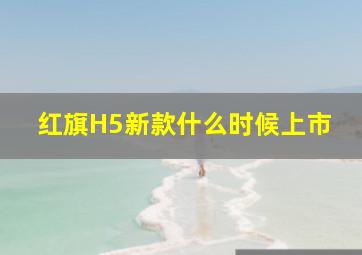 红旗H5新款什么时候上市