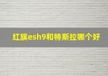 红旗esh9和特斯拉哪个好