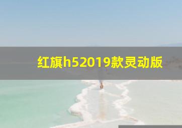 红旗h52019款灵动版