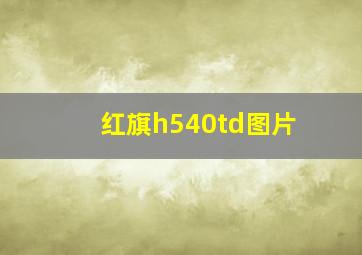 红旗h540td图片