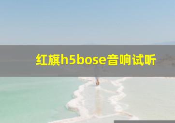 红旗h5bose音响试听