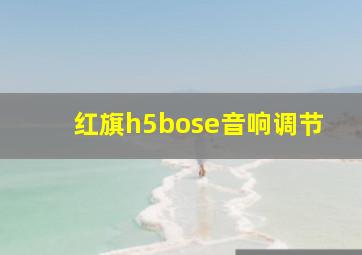 红旗h5bose音响调节