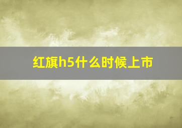 红旗h5什么时候上市