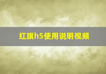 红旗h5使用说明视频