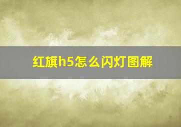 红旗h5怎么闪灯图解