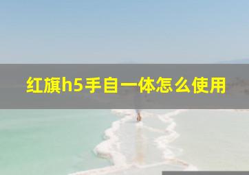 红旗h5手自一体怎么使用