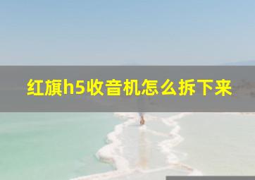 红旗h5收音机怎么拆下来