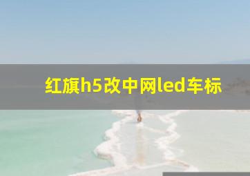 红旗h5改中网led车标