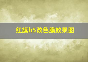 红旗h5改色膜效果图