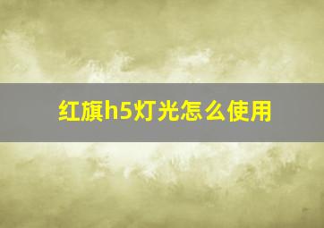 红旗h5灯光怎么使用