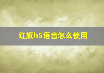 红旗h5语音怎么使用