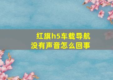 红旗h5车载导航没有声音怎么回事