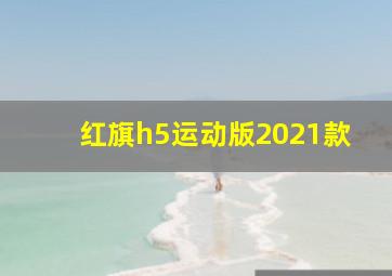 红旗h5运动版2021款