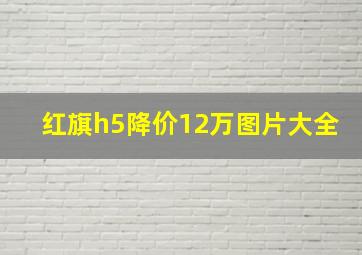 红旗h5降价12万图片大全