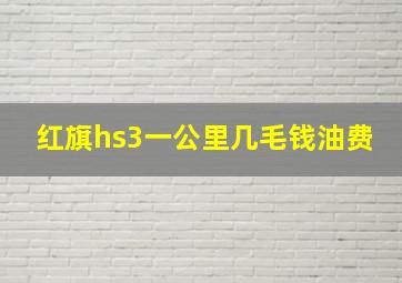 红旗hs3一公里几毛钱油费